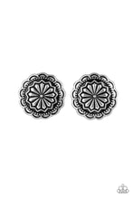 Load image into Gallery viewer, Durango Desert - Silver - Earrings
