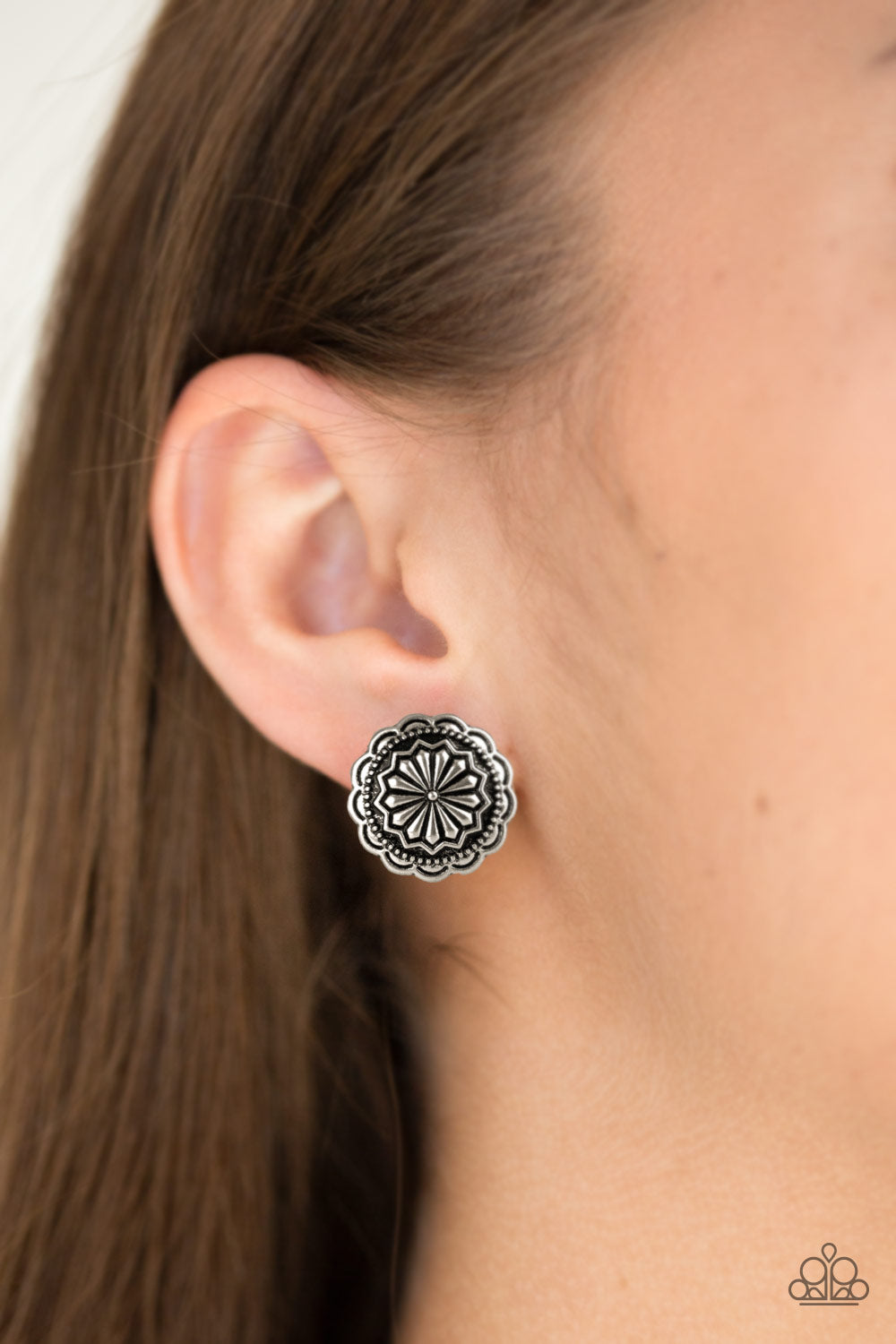 Durango Desert - Silver - Earrings