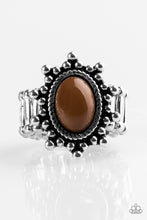 Load image into Gallery viewer, Seasonal Sunshine - Brown
