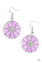 Load image into Gallery viewer, Distracted By Daisies - Purple
